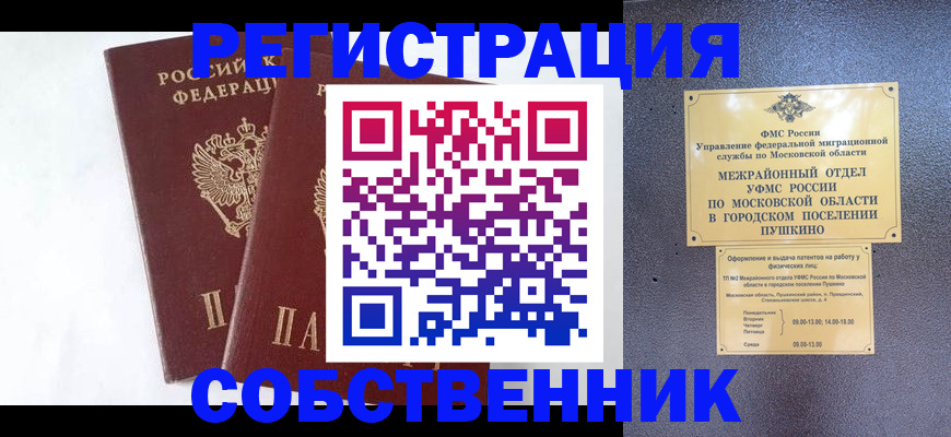 прописка поиск в Александровске